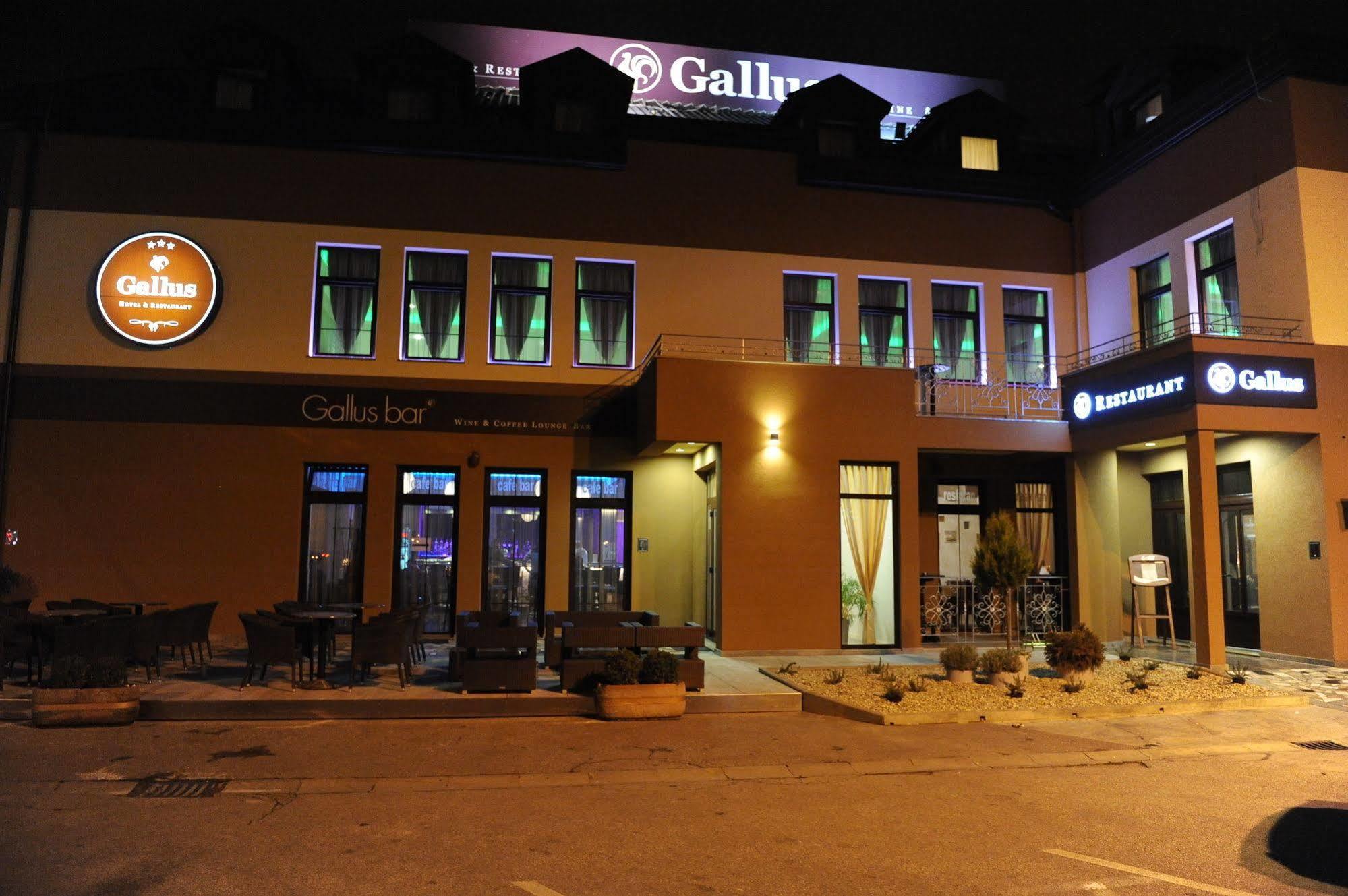 Gallus