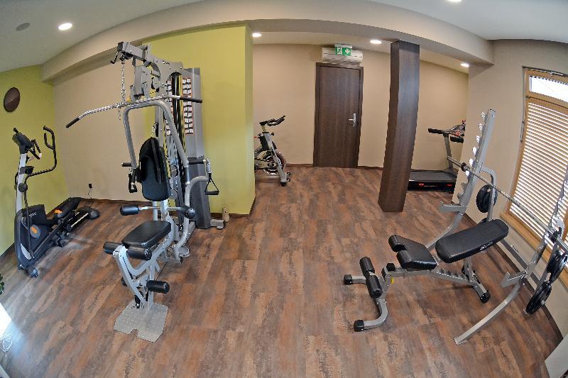 Gallus Hotel 3*